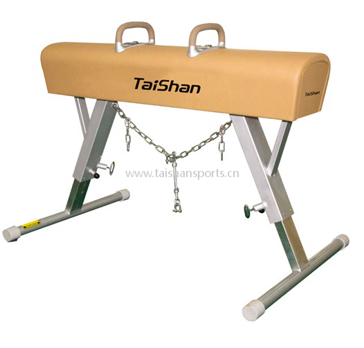 Taishan Hevonen Harjoitteluun